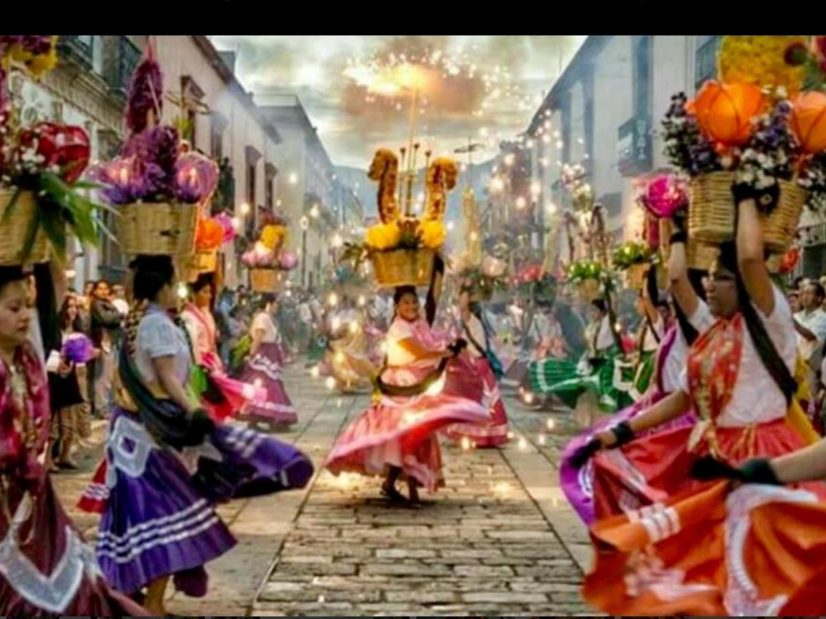 Auberge de jeunesse Trotamundo Oaxaca
